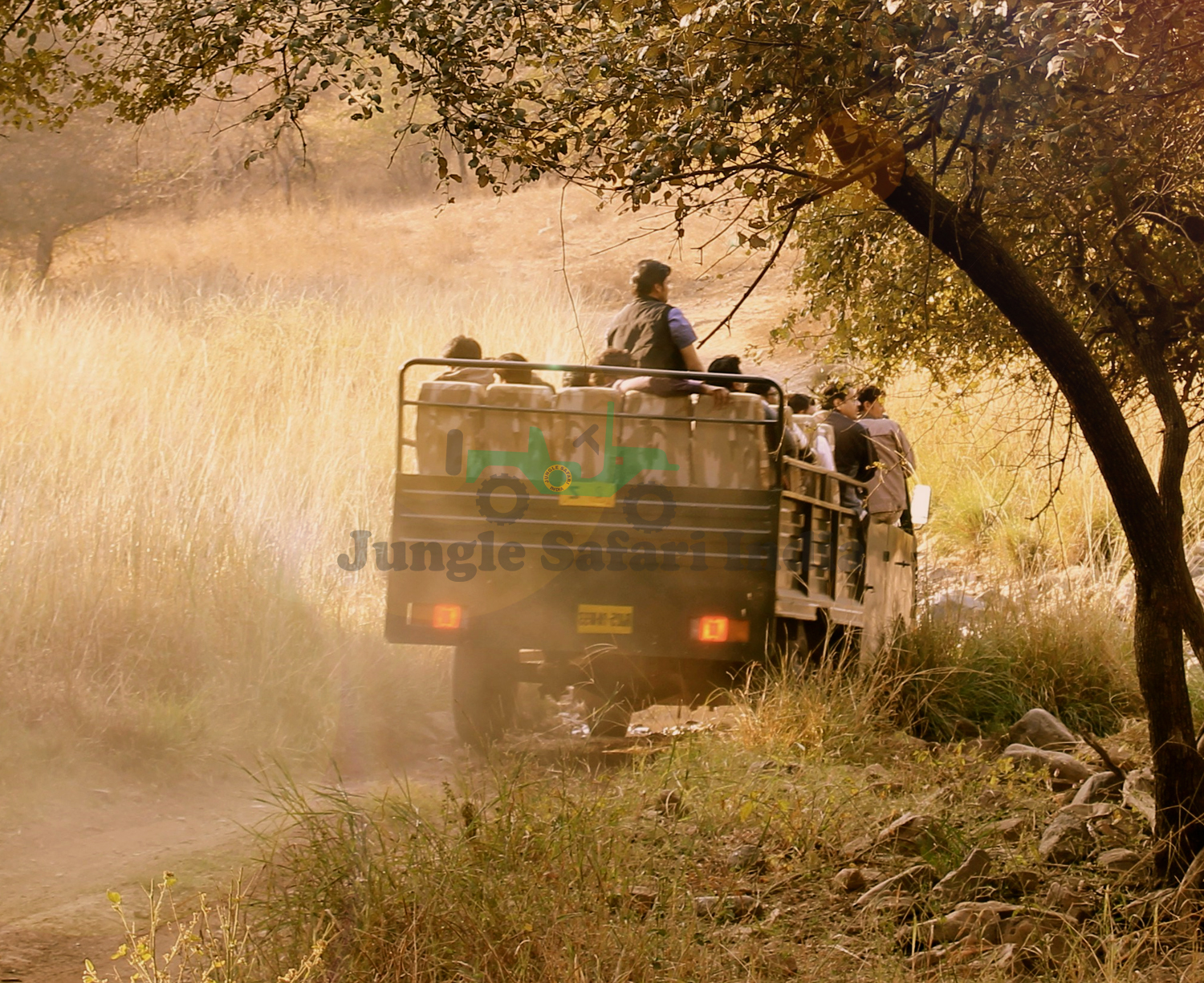 Ranthambore Tour for 2 Night / 3 days with 2 canter safari